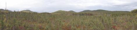 A panorama view from the Bradford Bog observation deck