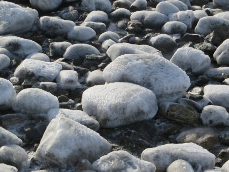 Sea spray rime ice looks like a sugar coating on these rocks