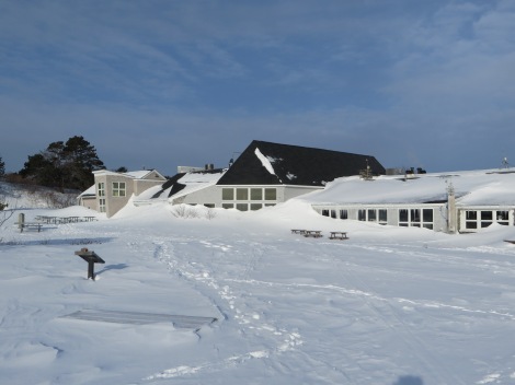 Snowdrifts to the roof of the Seacoast Science Center